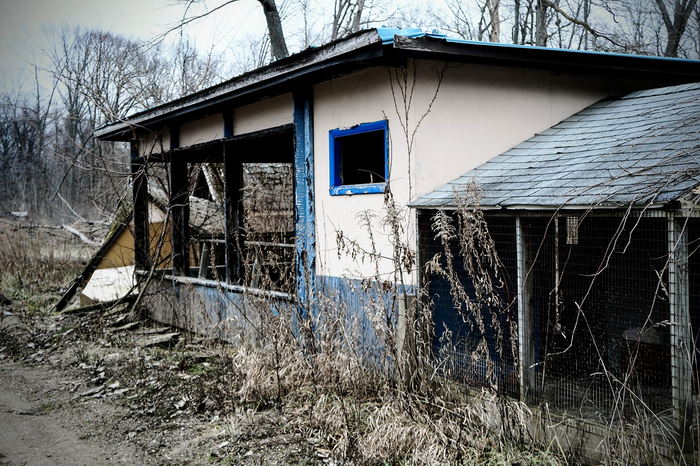 Deer Forest - January 2024 Photo From Dan Keeley (newer photo)